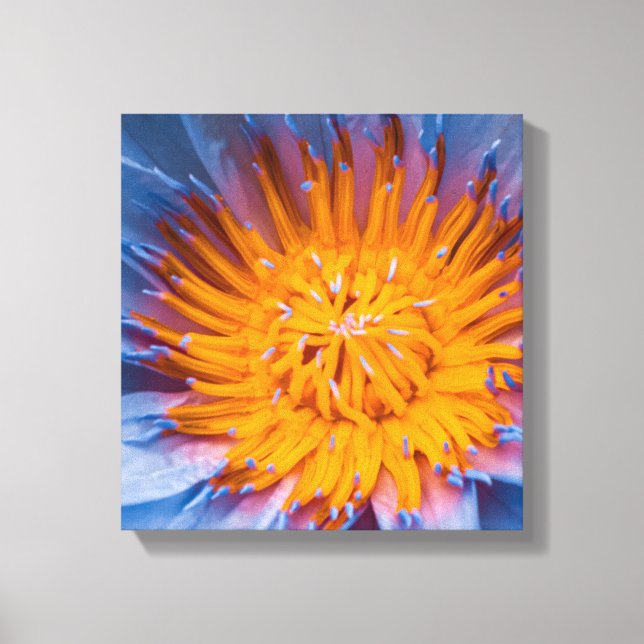 Impressão Em Tela Water Lily Centered (Frente)