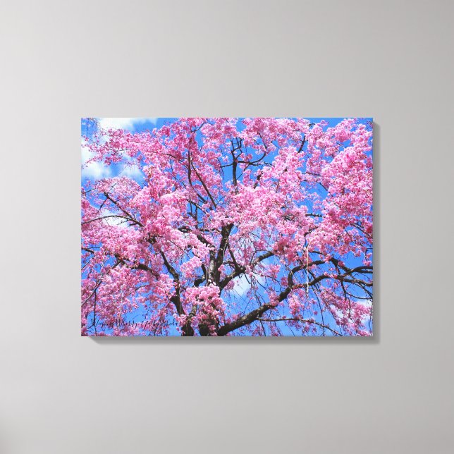 Impressão Em Tela Weeping Cherry: Yaebenishidare [Canvas Print] (Frente)