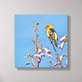 Impressão Em Tela Western Tanager