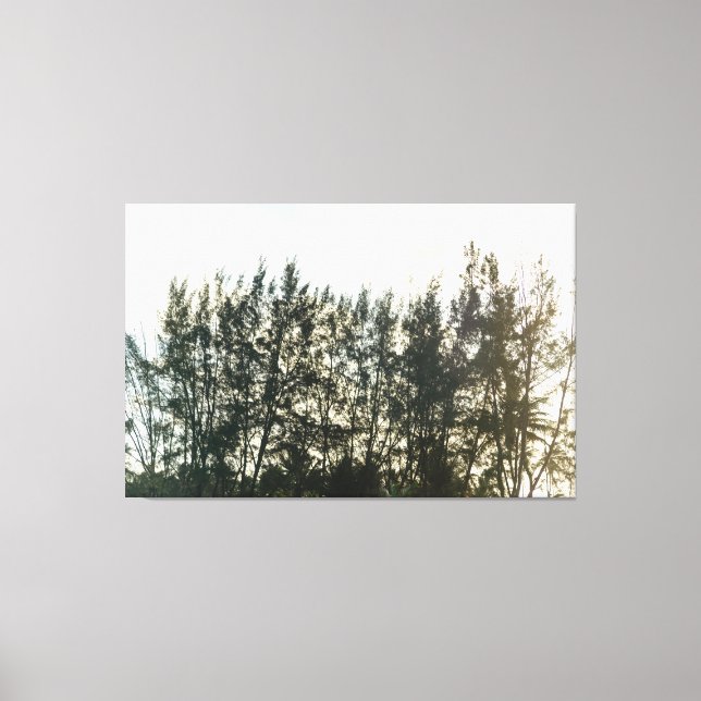 Impressão Em Tela Whispering Pines of Taquari (Frente)