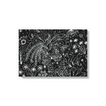 Whispers of nature. Botanical line art.