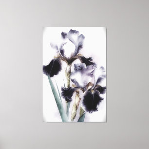 Impressão Em Tela *~* White Black Flower Artsy Iris Painting AP84