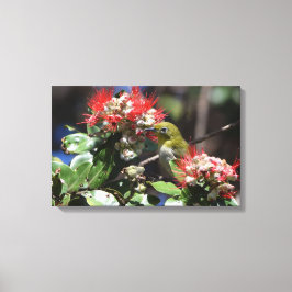 Impressão Em Tela White-eye japonês