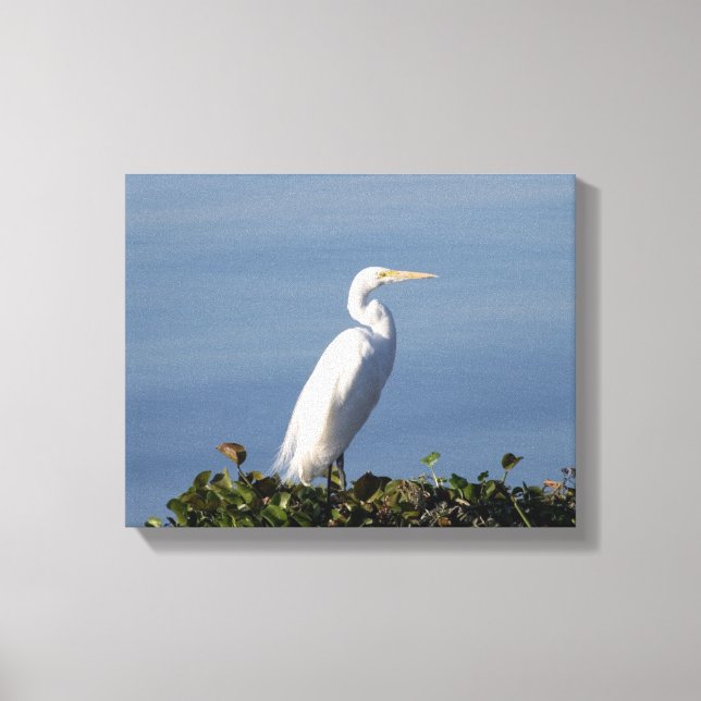 Impressão Em Tela White Heron em Lilypads (Frente)