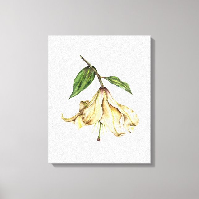 Impressão Em Tela White Lily (Frente)