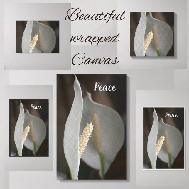 Impressão Em Tela White Peace Lily Floral Elegante Fotográfica (Criador carregado)