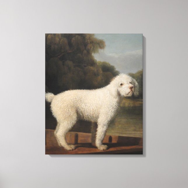 Impressão Em Tela White Poodle in a Punt (por George Stubbs) (Frente)