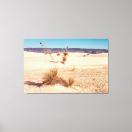 Impressão Em Tela White Sand Yuccas