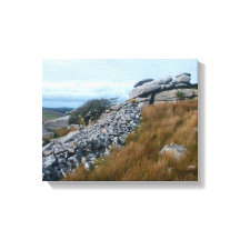 Wild Moors Bodmin Moor Cornwall Inglaterra