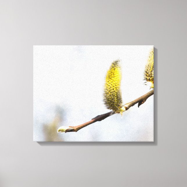 Impressão Em Tela Willow Catkins - Mundo Prateado (Frente)