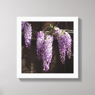 Impressão Em Tela Wisteria púrpura de 12" x 12" na cerca de madeira