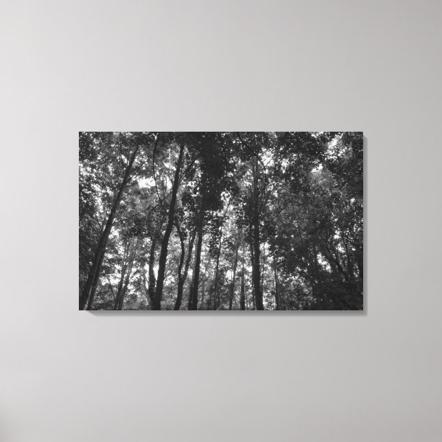 Impressão Em Tela Woodland Canopy 02 BW (Frente)