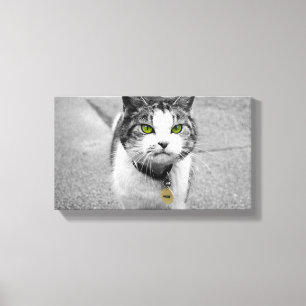 Impressão Em Tela Woof