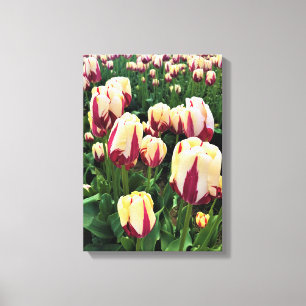 Impressão Em Tela World Expression Tulips, Oregon