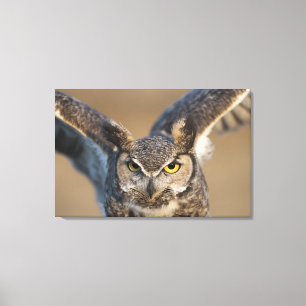 Impressão Em Tela Wyoming, EUA