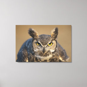 Impressão Em Tela wyoming, EUA