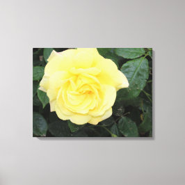 Impressão Em Tela Yello Rosa