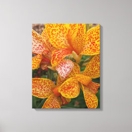 Impressão Em Tela Yellow Canna Lily with Red Speckles Floral