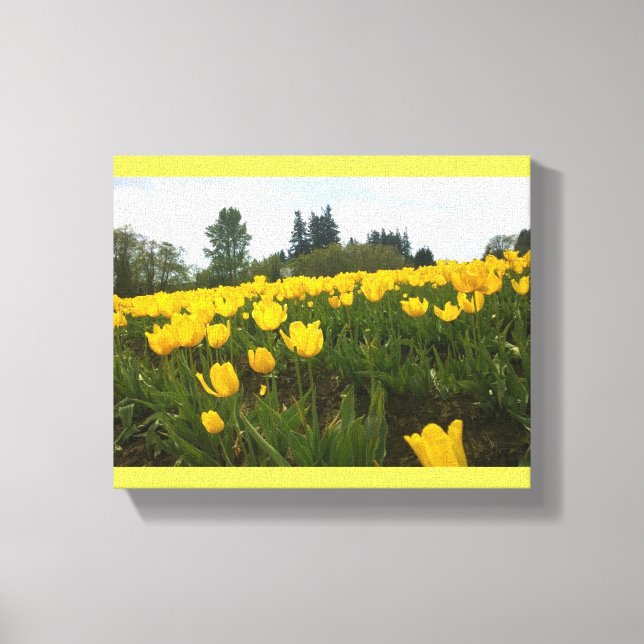 Impressão Em Tela Yellow Tulip Field, Oregon (Frente)