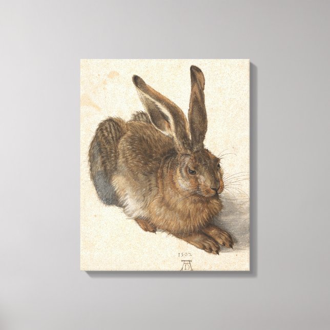 Impressão Em Tela Young Hare | Albrecht Dürer (Frente)