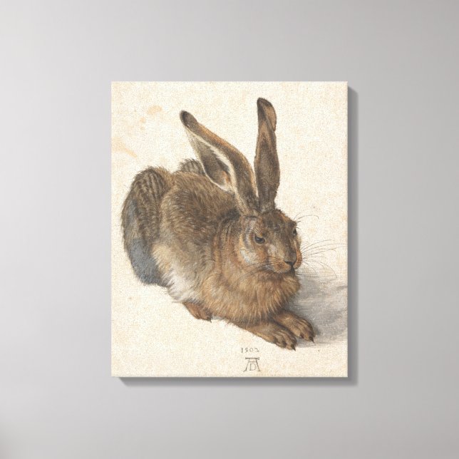Impressão Em Tela Young Hare Albrecht Durer (Frente)
