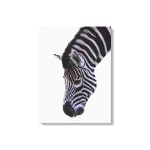 Zebra Close-Up | Black & White Wildlife Wall Art