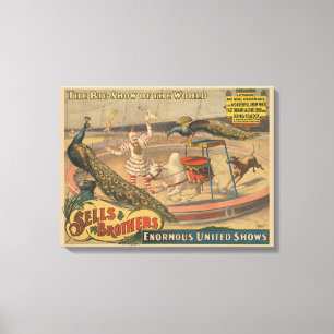 Impressão Em Tela Zebu E Pavão Com Treinador De Palhaços