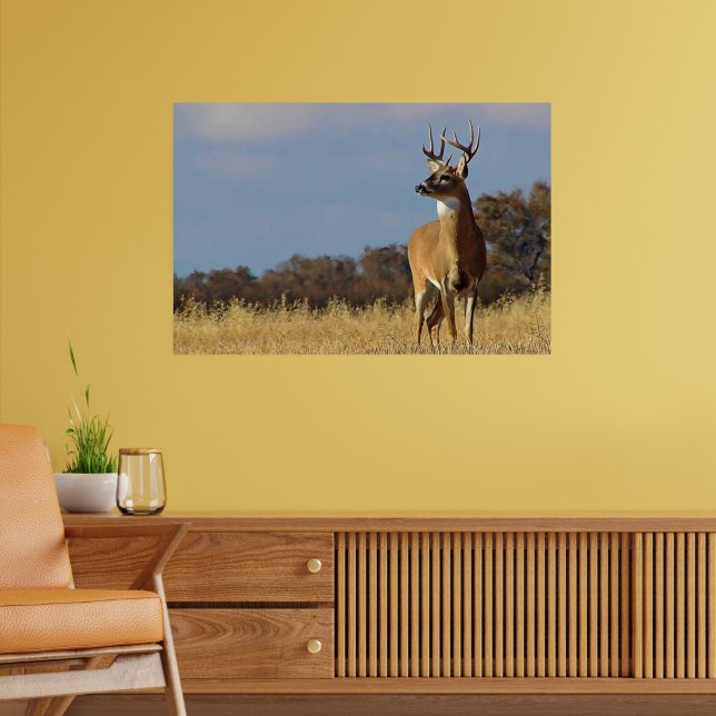 Impressão emoldurada de Whitetail Buck (Sala de Estar 2)