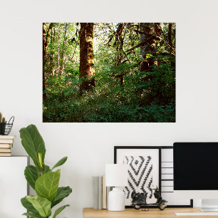 Impressão Enchanted do poster da floresta