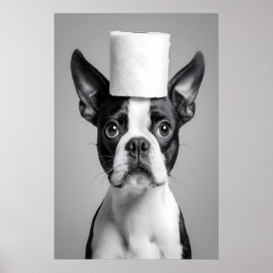 Impressão engraçada de banheiro do Boston Terrier,