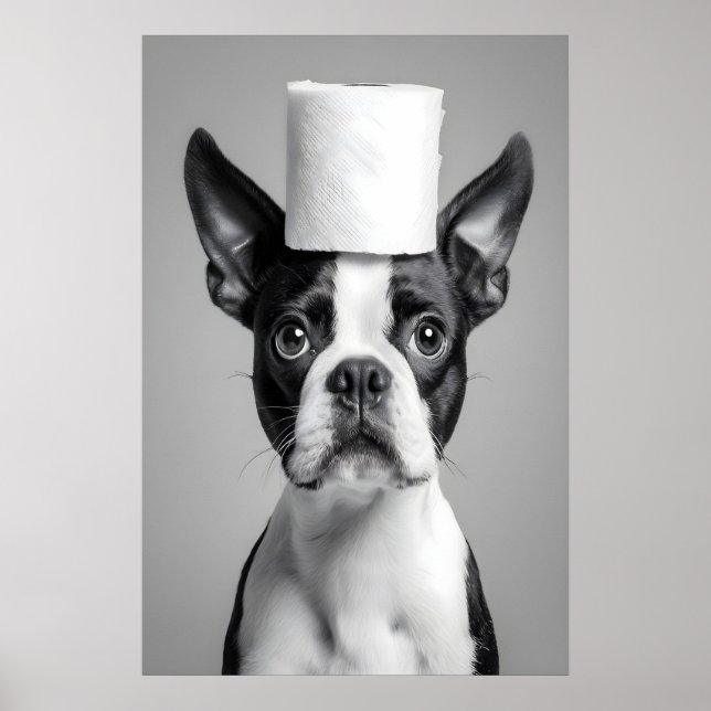 Impressão engraçada de banheiro do Boston Terrier, (Frente)