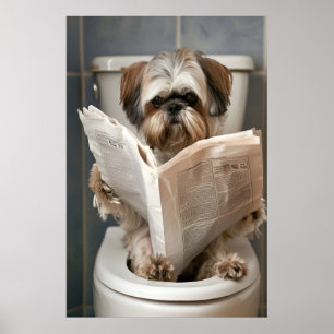 Impressão engraçada de Shih Tzu no banheiro, Lendo