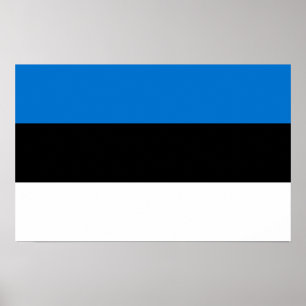 Impressão enquadrado com bandeira da Estônia
