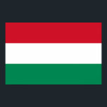 Impressão enquadrado com bandeira da Hungria<br><div class="desc">Elegant enquadrou a impressão com a bandeira da Hungria.</div>