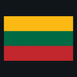 Impressão enquadrado com sinalizador da Lituânia<br><div class="desc">Adicione um toque de orgulho lituano ao seu espaço com este impressão impressionante com a bandeira da Lituânia! Cuidadosamente concebida para destacar o ousado tricolor do amarelo, do verde e do vermelho, este impressão enquadrado captura a essência da identidade nacional da Lituânia numa apresentação limpa e elegante. Seja pendurada numa...</div>