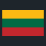 Impressão enquadrado com sinalizador da Lituânia<br><div class="desc">Adicione um toque de orgulho lituano ao seu espaço com este impressão impressionante com a bandeira da Lituânia! Cuidadosamente concebida para destacar o ousado tricolor do amarelo, do verde e do vermelho, este impressão enquadrado captura a essência da identidade nacional da Lituânia numa apresentação limpa e elegante. Seja pendurada numa...</div>