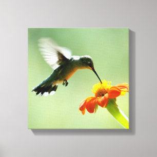 Impressão envolvido canvas do colibri e da flor
