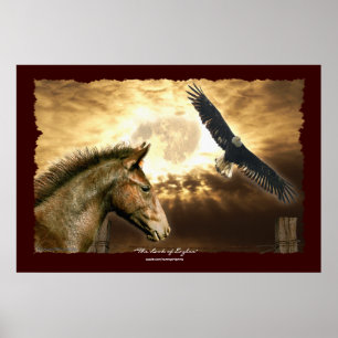 Impressão espanhol da arte do cavalo & da águia