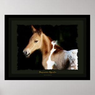 Impressão espanhol da arte do potro do mustang