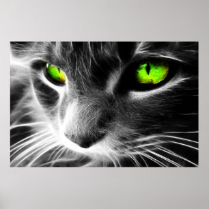 Impressão Eyed verde do fim do gato acima