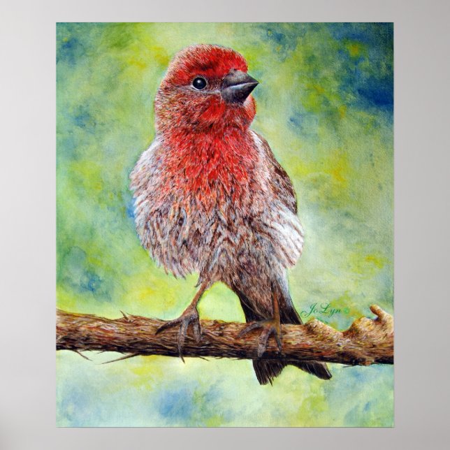 Impressão Finchy (Frente)