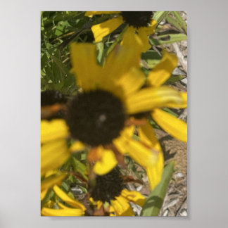 Impressão floral amarela cinza por um dia