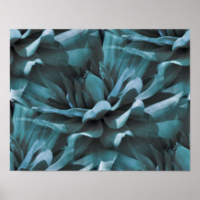 Impressão Floral Azul Dahlia (Frente)