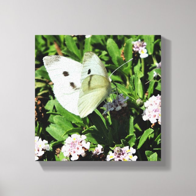 Impressão Floral de Borboleta em Tela (Frente)