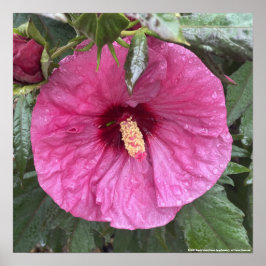 impressão Floral Roxo