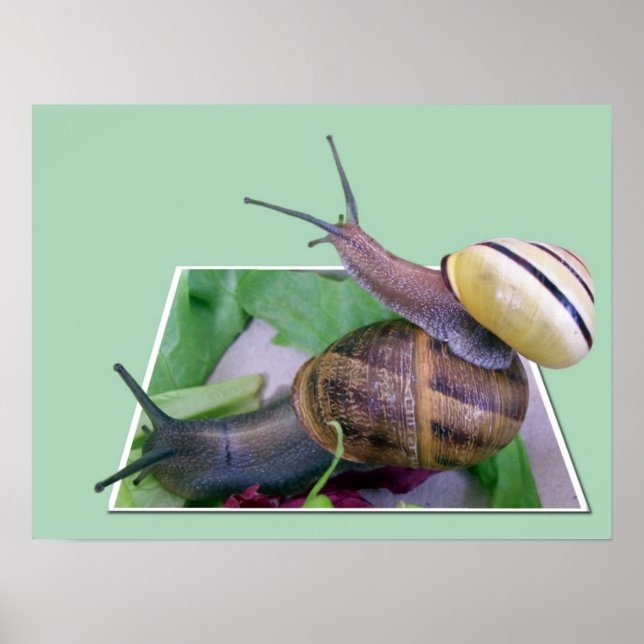 Impressão fora dos limites (Frente)