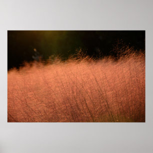 Impressão fotográfica de 30×20 Pink Muhly Jeju-do