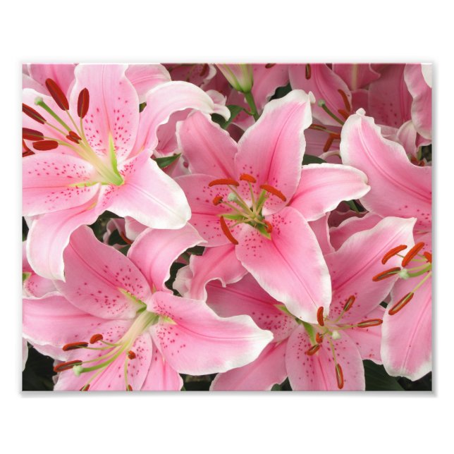 Impressão Fotográfica Lírios Rosa (Frente)
