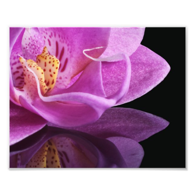 Impressão Fotográfica Orquídea (Frente)