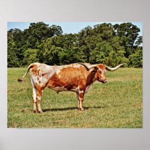Impressão fotográfico da arte da vaca de Texas